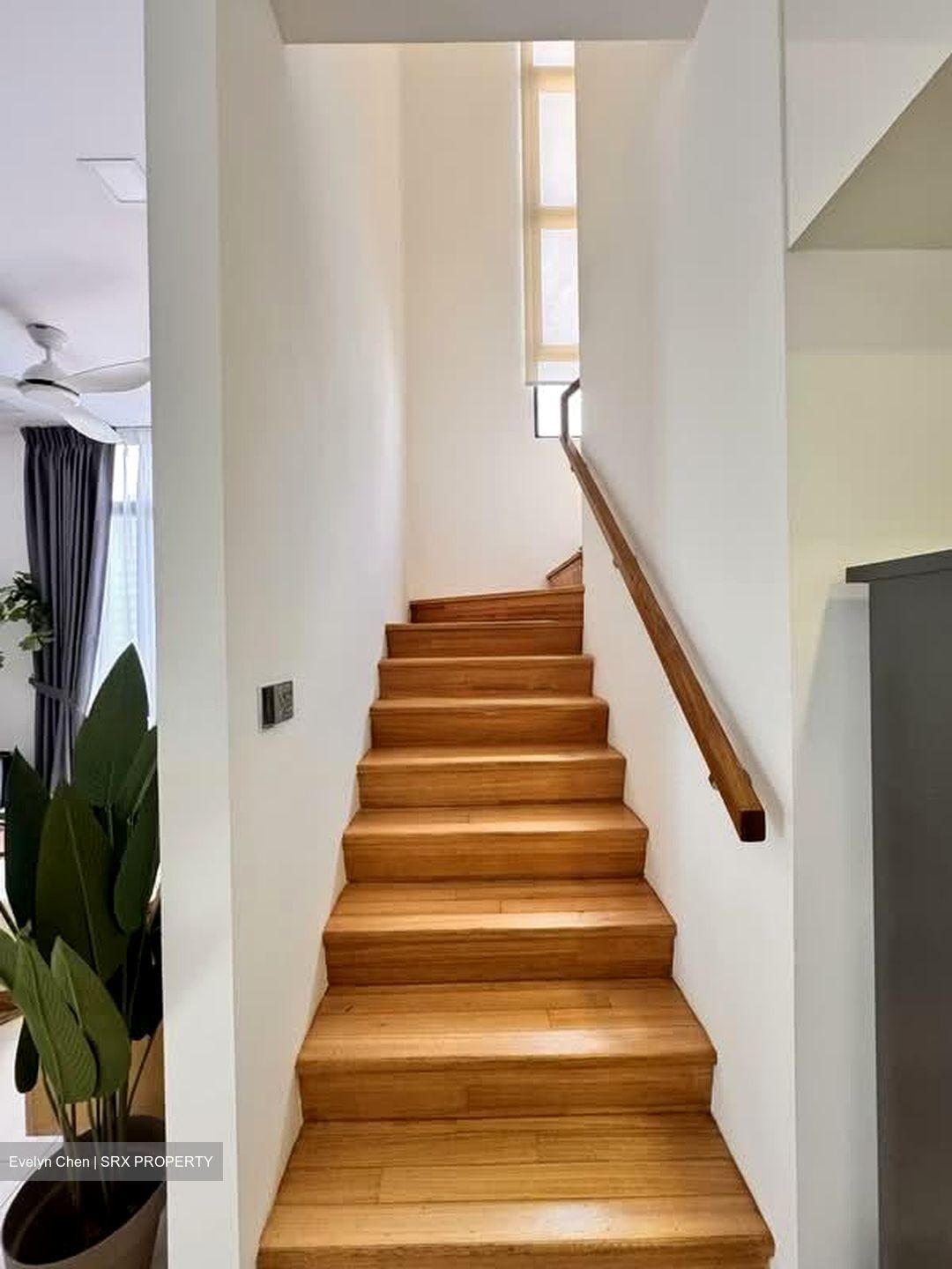 The Serenno (D15), Apartment #533391161